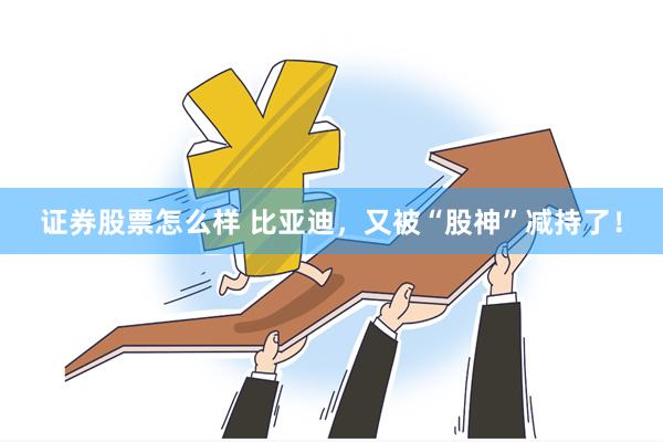 证券股票怎么样 比亚迪，又被“股神”减持了！