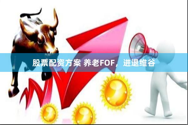 股票配资方案 养老FOF，进退维谷