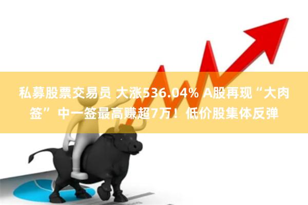 私募股票交易员 大涨536.04% A股再现“大肉签” 中一签最高赚超7万！低价股集体反弹