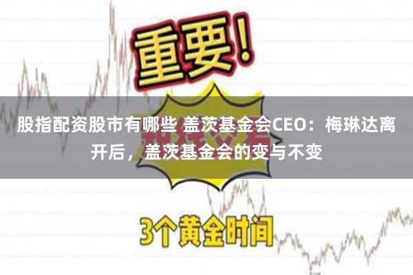 股指配资股市有哪些 盖茨基金会CEO：梅琳达离开后，盖茨基金会的变与不变