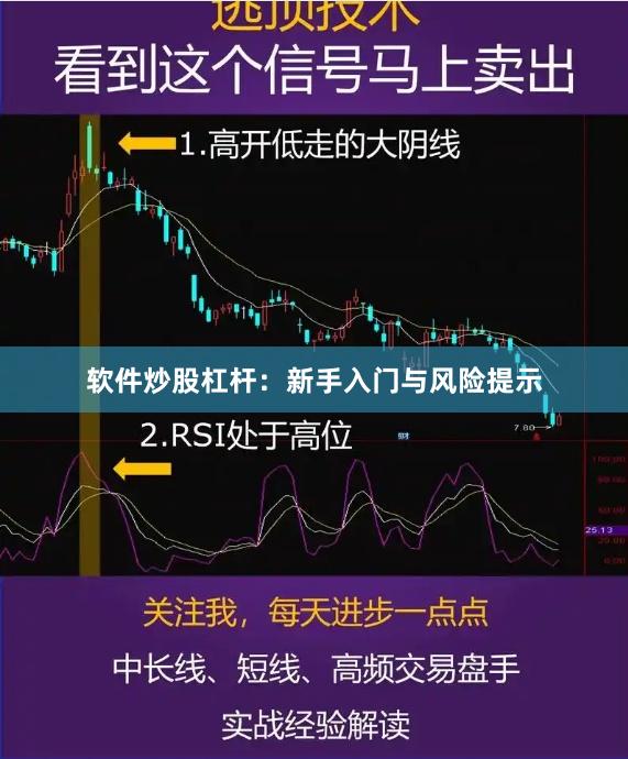 软件炒股杠杆：新手入门与风险提示